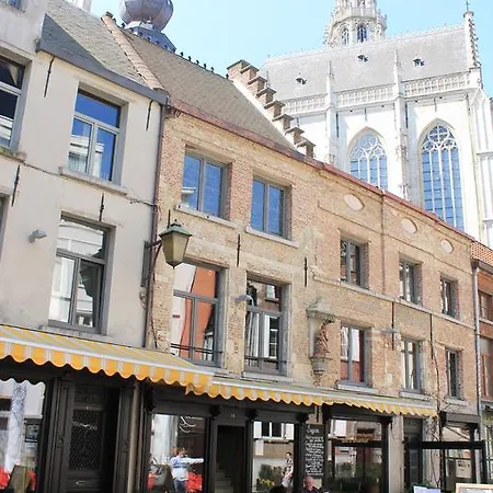 Kathedraallogies Drie Koningen Guest house *